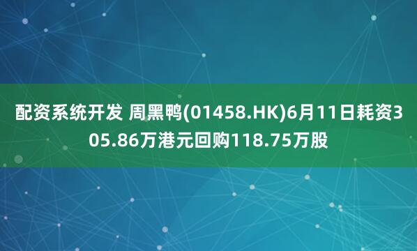 配资系统开发 周黑鸭(01458.HK)6月11日耗资305.86万港元回购118.75万股