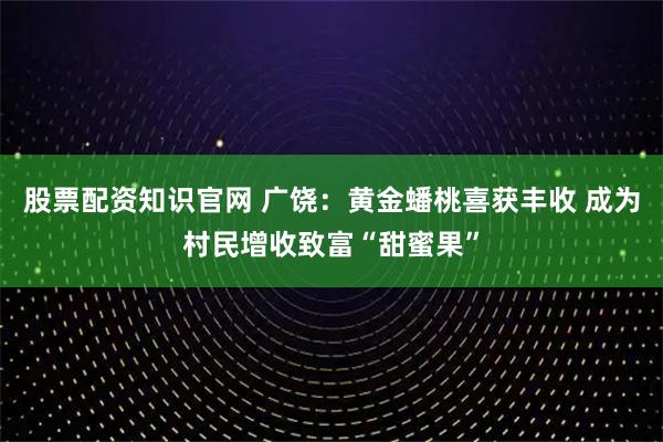 股票配资知识官网 广饶：黄金蟠桃喜获丰收 成为村民增收致富“甜蜜果”
